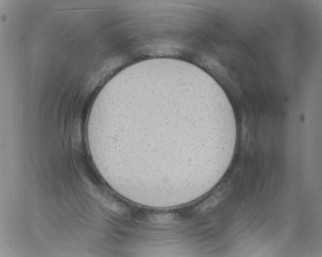 X0000060800202200512082158