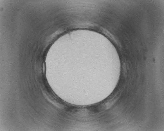 X0000060800203200512082158