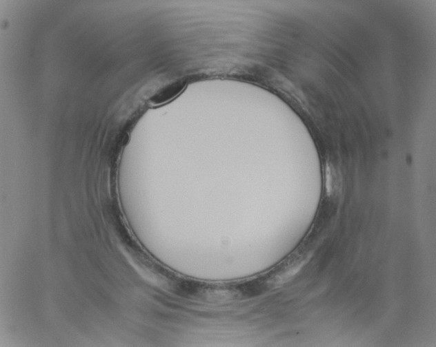 X0000060800205200512082158