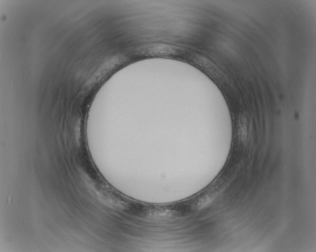 X0000060800206200512082158