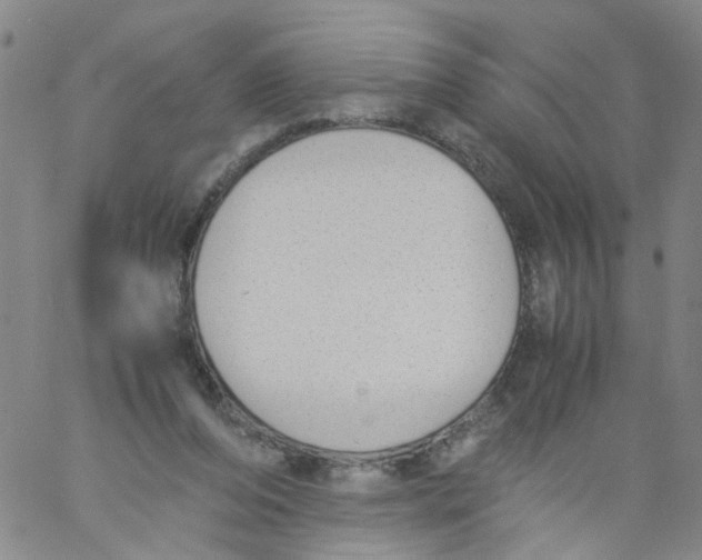 X0000060800208200512082158