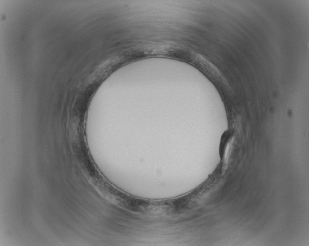 X0000060800209200512082158