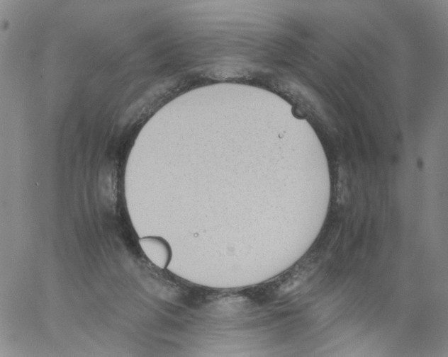 X0000060800210200512082158