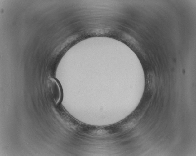 X0000060800212200512082158