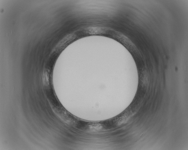 X0000060800214200512082158