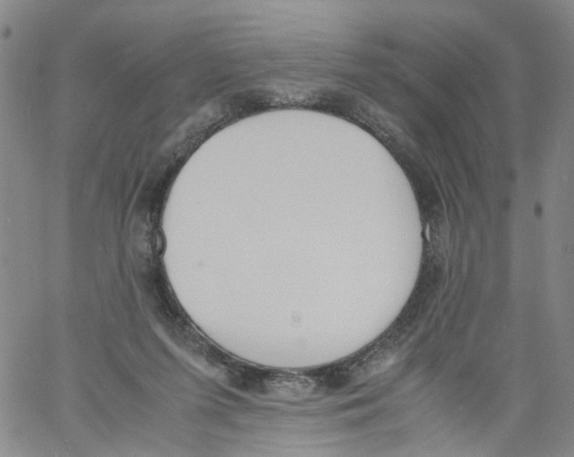 X0000060800215200512082158