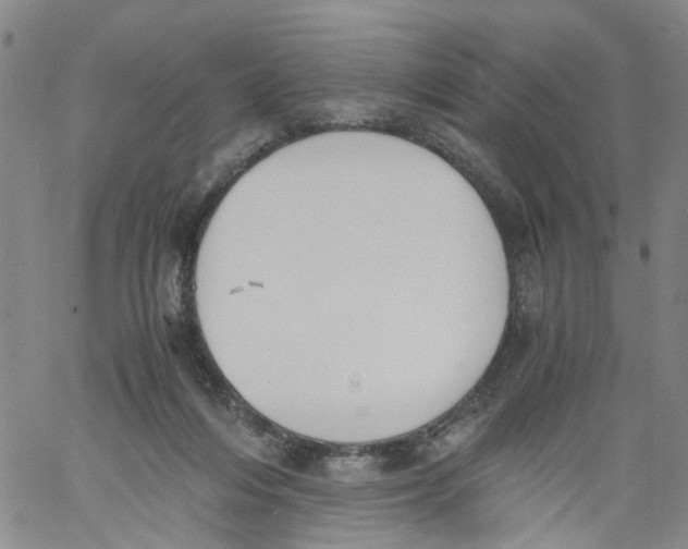 X0000060800216200512082158