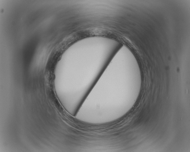 X0000060800217200512082158