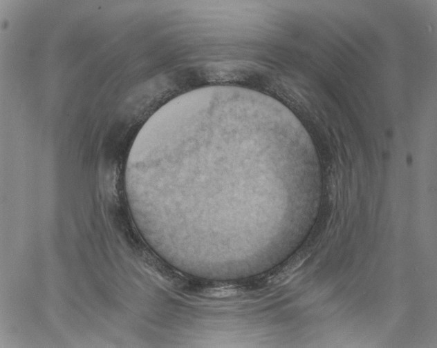 X0000060800219200512082158