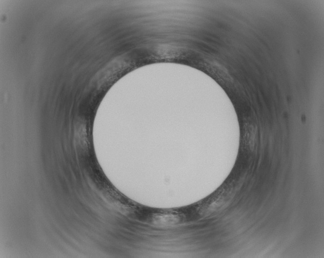 X0000060800220200512082158