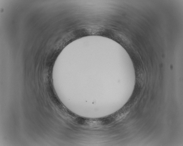 X0000060800221200512082158