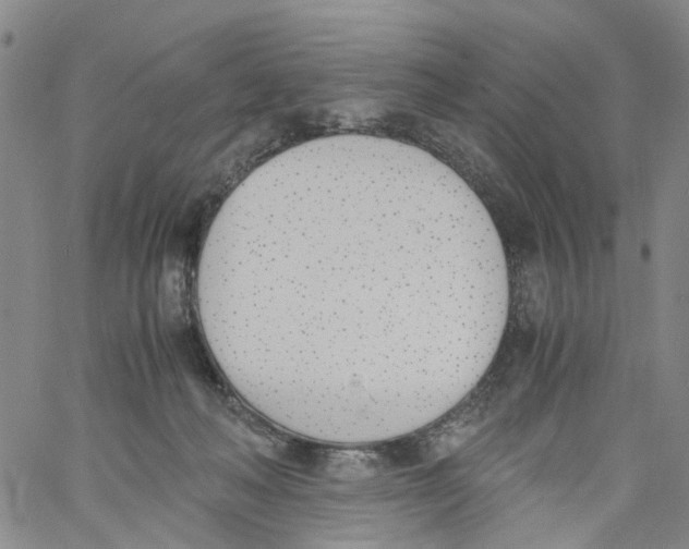 X0000060800222200512082158