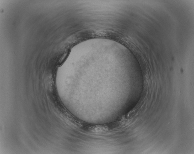 X0000060800223200512082158