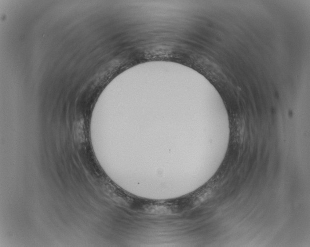 X0000060800224200512082158