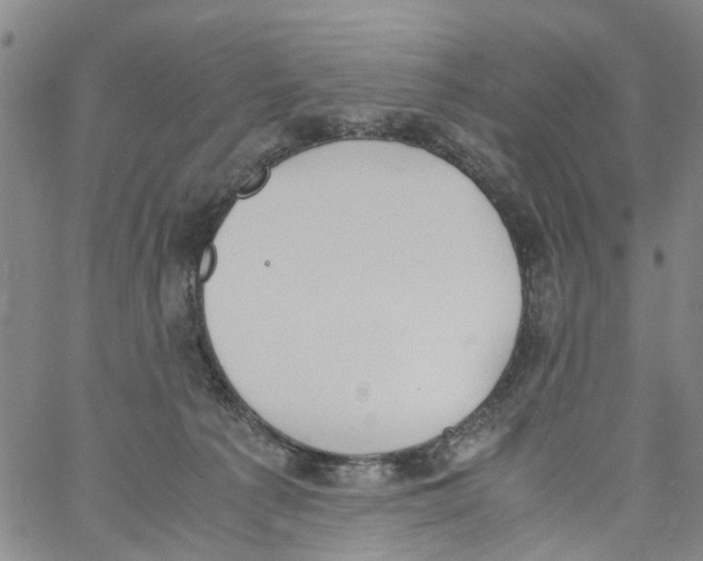 X0000060800225200512082158