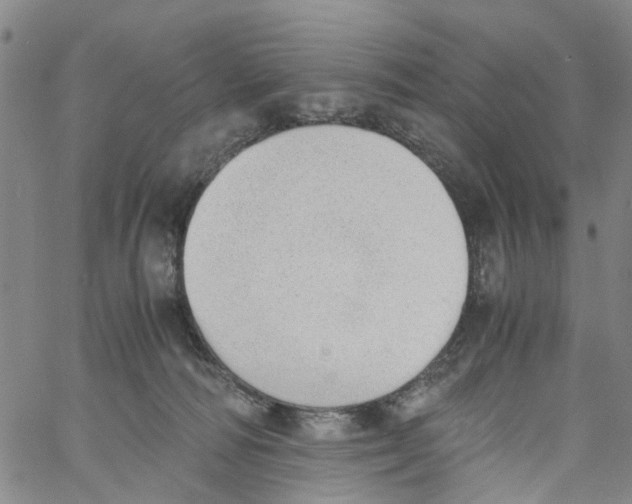 X0000060800226200512082158