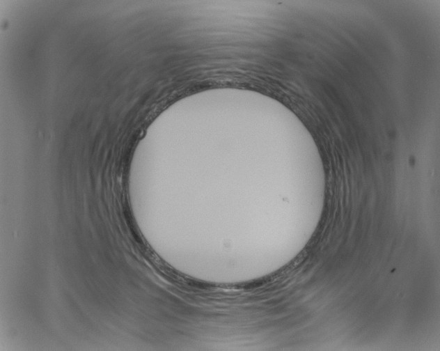 X0000060800227200512082158