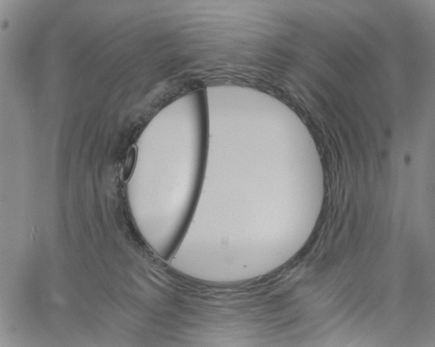 X0000060800229200512082158