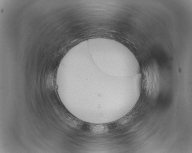 X0000060800230200512082158