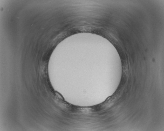 X0000060800233200512082158