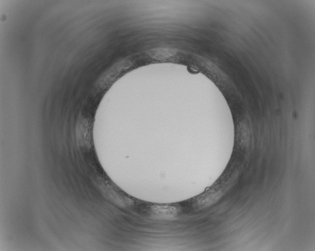 X0000060800234200512082158