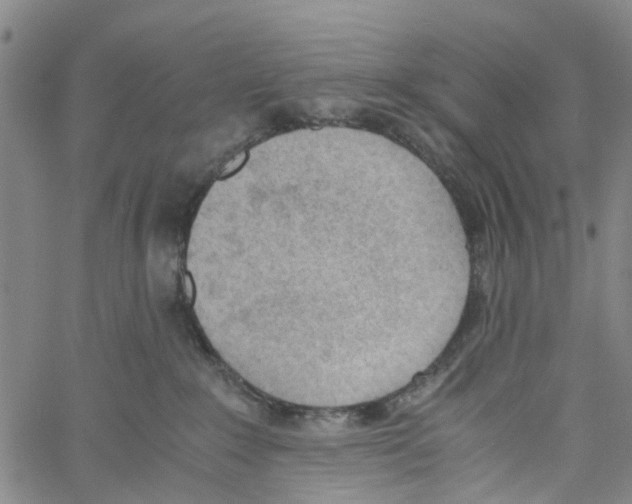 X0000060800235200512082158