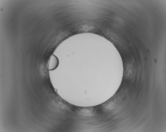 X0000060800236200512082158