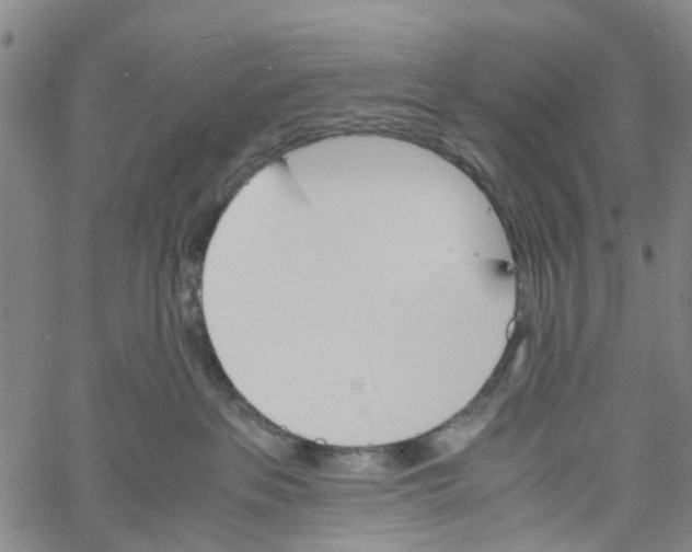 X0000060800237200512082158