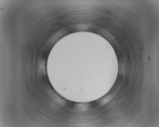 X0000060800238200512082157