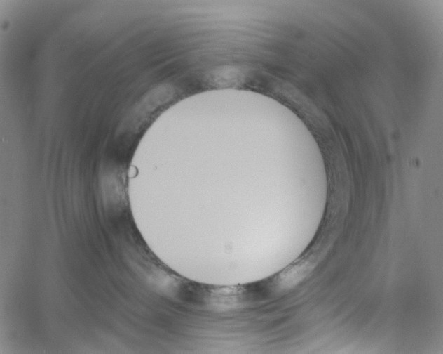 X0000060800240200512082157