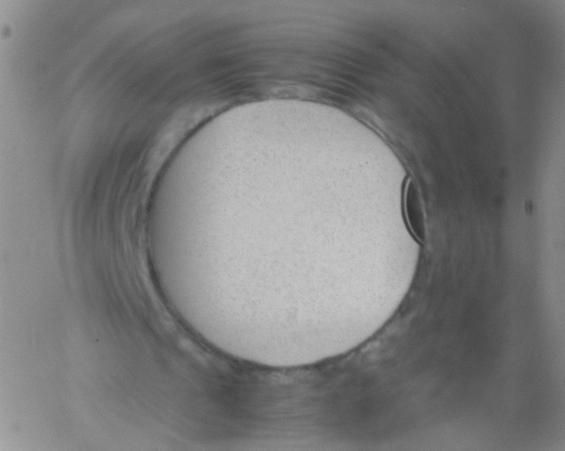 X0000060800241200512082157