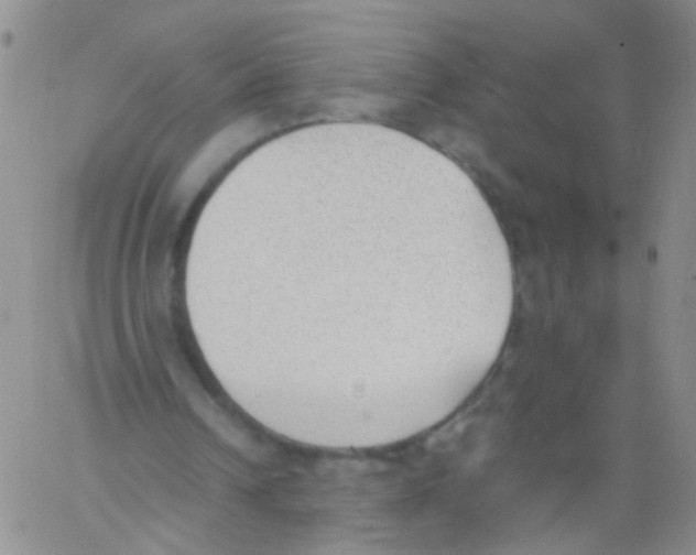 X0000060800242200512082157