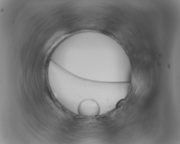 X0000060800243200512082157