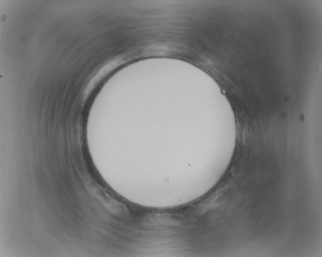 X0000060800244200512082157