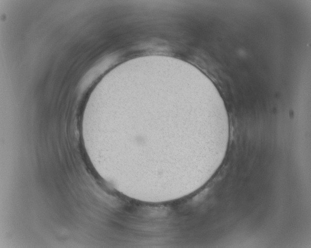 X0000060800245200512082157