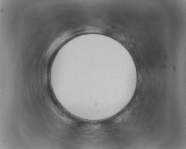 X0000060800247200512082157