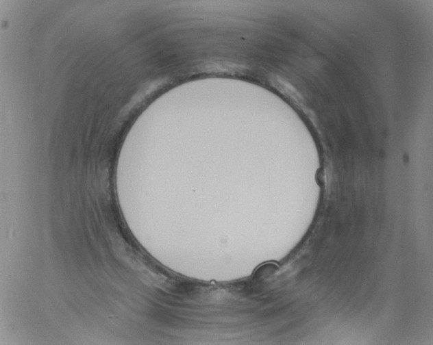 X0000060800249200512082157