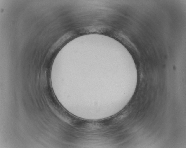 X0000060800250200512082157