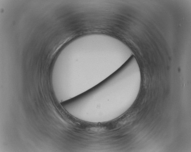 X0000060800251200512082157