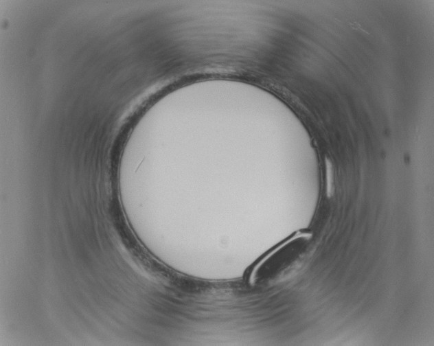 X0000060800252200512082157