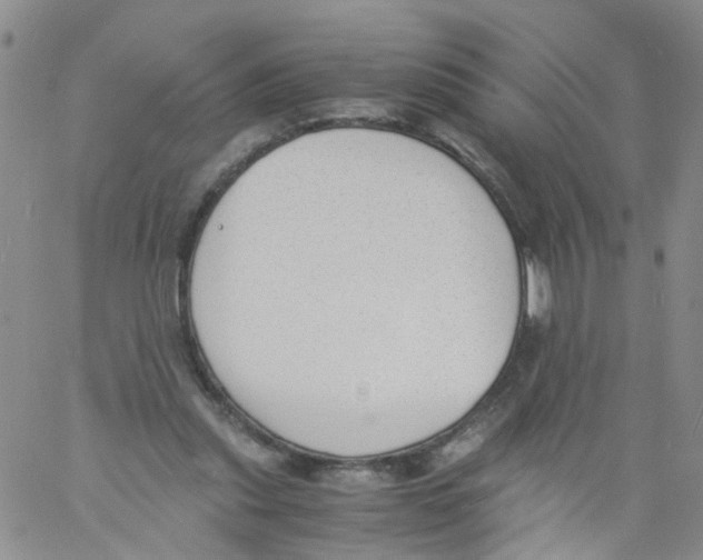 X0000060800253200512082157