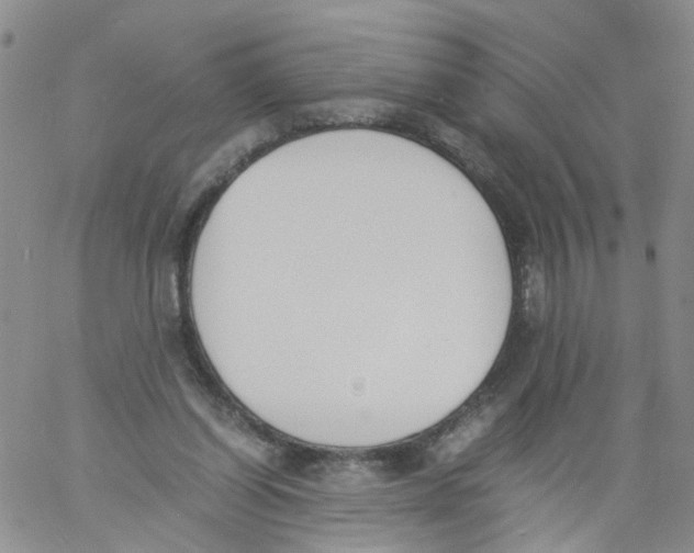 X0000060800254200512082157