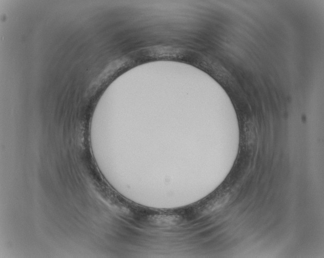 X0000060800255200512082157