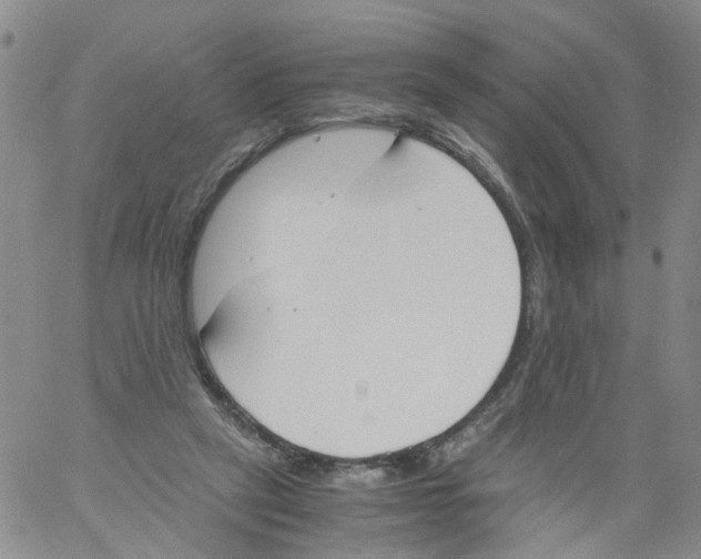 X0000060800257200512082157