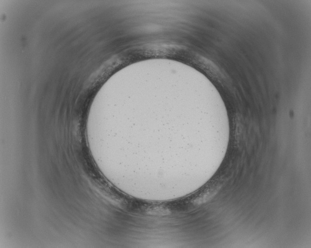 X0000060800258200512082157