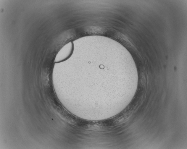 X0000060800259200512082157