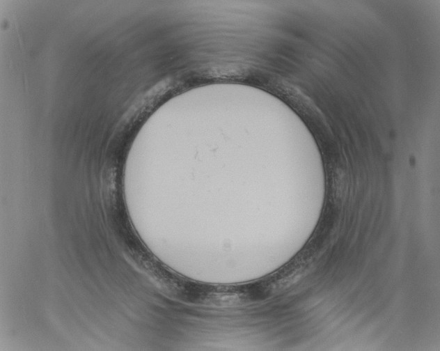 X0000060800260200512082157