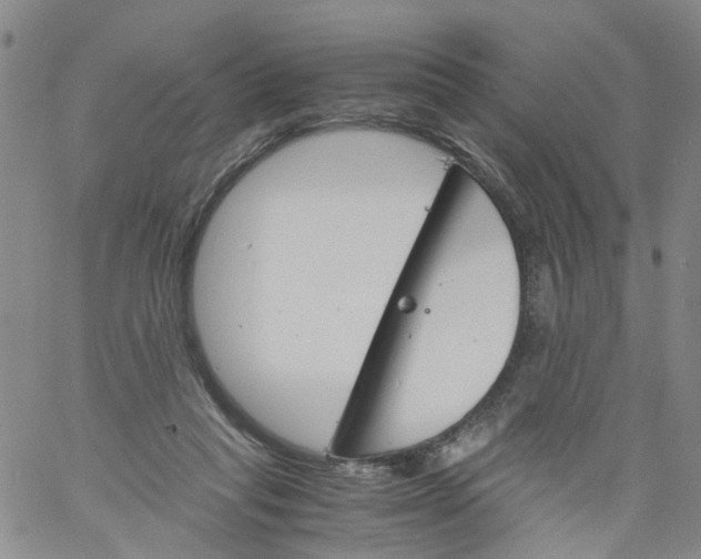 X0000060800261200512082157