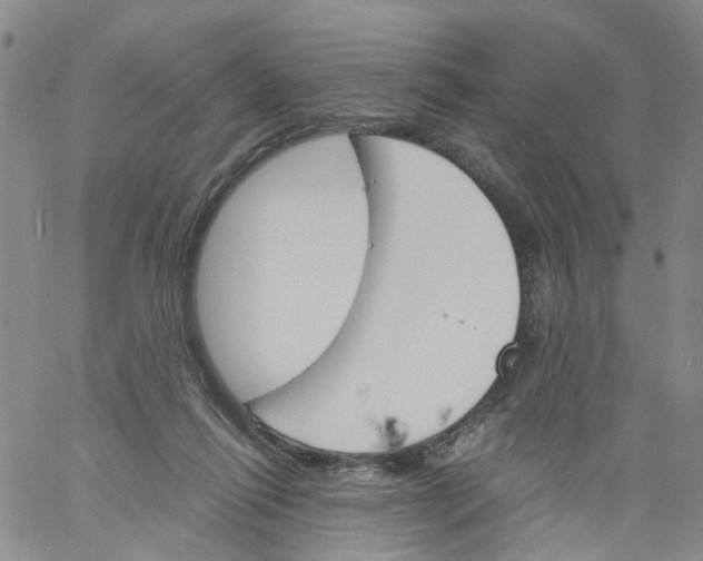 X0000060800262200512082157