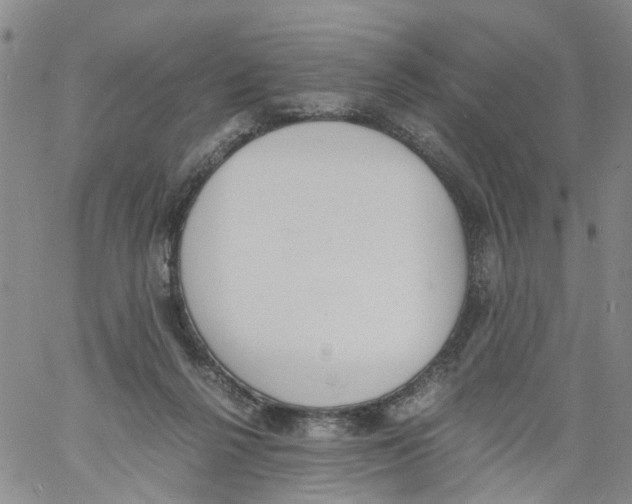 X0000060800264200512082157